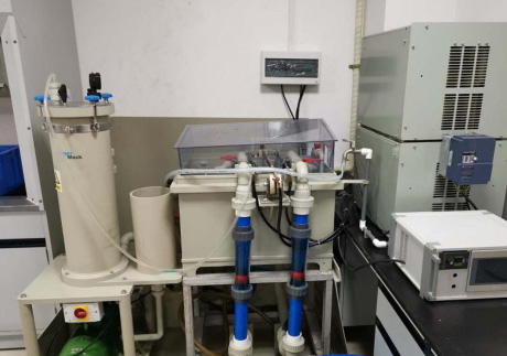 脉冲搭桥填通孔工艺